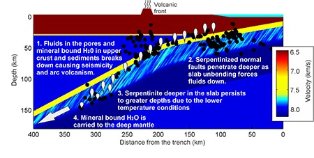 Summary of subduction zone structure inferred for waveform modelling of disperse