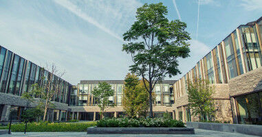 Ivey initiative maps out path towards net zero for firms