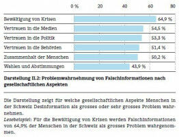 Journalism Increasingly Important in Combatting Disinformation
