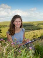 Katherine's busy summer for bee research
