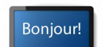 Language in the digital age