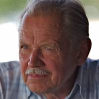 Language of dementia not universal: study