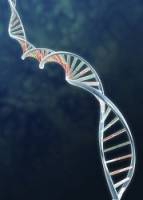 Largest gene therapy trial for cystic fibrosis begins
