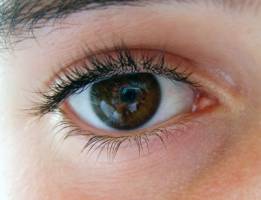 Learning from the brain