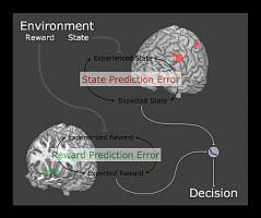 Learning Strategies are Associated with Distinct Neural Signatures