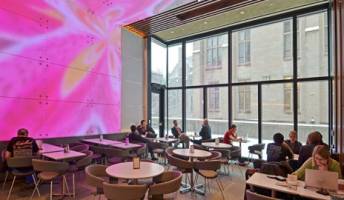 LED Caf� -- where art and science meet