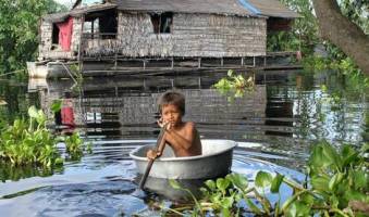 Links between biodiversity and language diversity