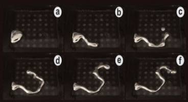 Liquid metal brings soft robotics a step closer
