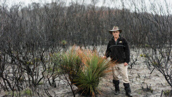 Logging increases risk of severe fire