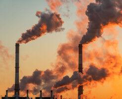 Low quality carbon offsets weakening global decarbonisation efforts