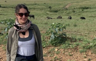 Maasai Mara's Indigenous forest is disappearing, with drastic consequences