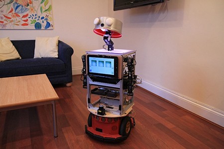 The Sunflower robot, developed by the University of Hertfordshire, has been used