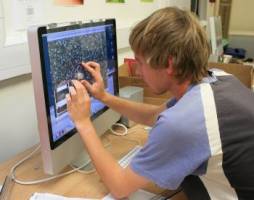 Matthew Silk samples the buzz of the bee lab