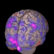 Eye movements are interesting for a number of reasons - they are important for v