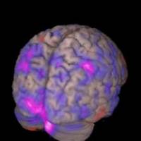 Measuring the speed of thought