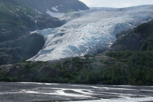 Melting glaciers could produce 1,000s of kilometres of new Pacific salmon habitat by 2100