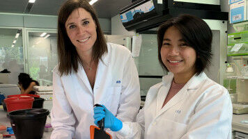 Methylation of messenger RNAs limits inflammation