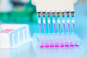 MHH in the top group in the DFG Funding Atlas