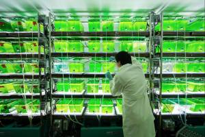 Michigan's University Research Corridor Conducts $1.2 Billion in Life, Medical and Health Science Research, Report Finds