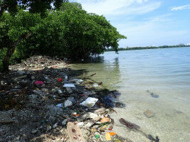 Microplastic pollution threats the world's coastal lagoons