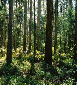 Photo by Kevin Utting on Flickr.