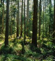 Mitigation measures undersold: study