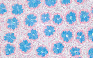 Moments of scientific discovery captured in stunning images