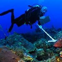 Monitoring Coral Reef Fisheries