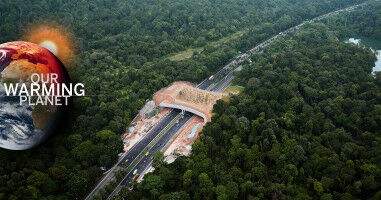 'Most promising path:' Using nature-based solutions to respond to climate change