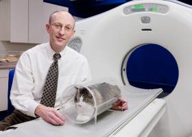 'Mouse trap' allows vets to make faster diagnoses, without anesthesia