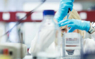 Muscular dystrophy studies funded to test new treatments