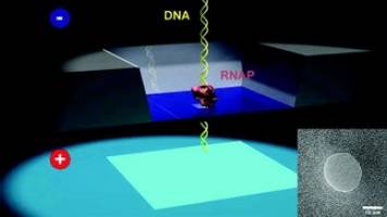 Nanopore Detection of Single Molecule RNAP-DNA Transcription Complex