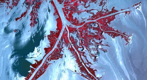 Oil from the Deepwater Horizon spill laps around the mouth of the Mississippi Ri