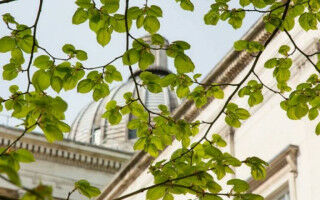 National pay award and UCL pay increases