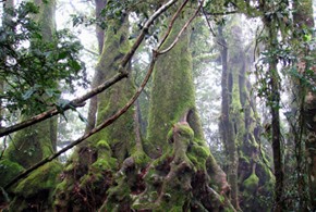 Photo by Jeannie Fletcher/ Jiggs Images