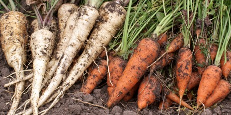 The closer to nature, the better. Consumers in developed countries often prefer 