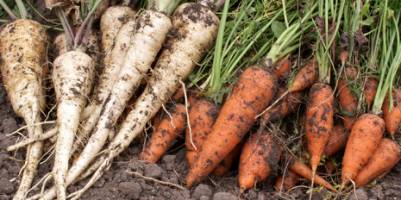 Naturalness as a success factor