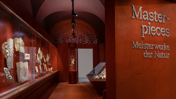 Nature's Masterpieces on Display