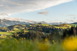 New impetus for regional growth