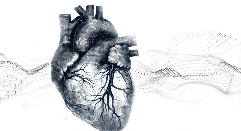 ’We wanted to explore whether it’s possible to develop a method that