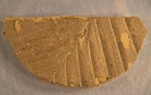 A 33,800 year old leaf  from Lake Suigetsu in Japan dated by radiocarbon.