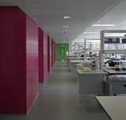 Institute of Biomedical Engineering