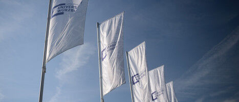 New Collaborative Research Centres: A Resounding Success for the University and the University Hospital