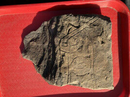 New discovery of early medieval 'Govan Warrior' stone