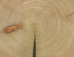 New evidence for climate impacts on ancient societies