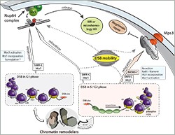 Click image to enlarge