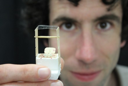 David Powell shows off the team&rsquo;s meta-atom. Photo Phil Dooley, ANU