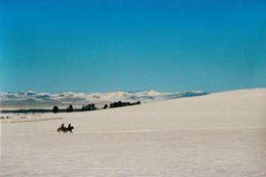 New Mongolia centre sets ANU out from the herd