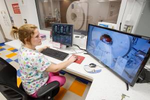 New MRI opens door to innovative veterinary research and care