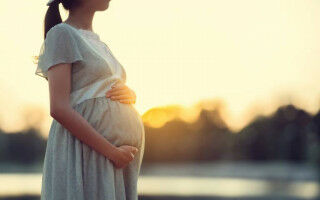 New report outlines vision for safe, effective and accessible medicines in pregnancy